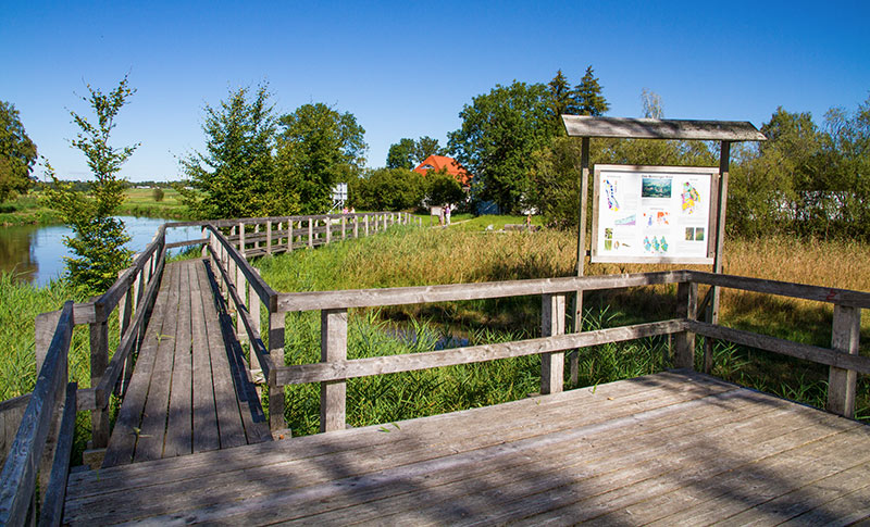 Aussichtsplattform im Benninger Ried